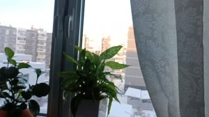 Новый год опять)