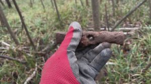 Нашел уделку. Удачно я зашел в лес