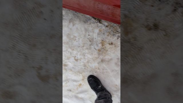 4229.mp4 смотреть онлайн