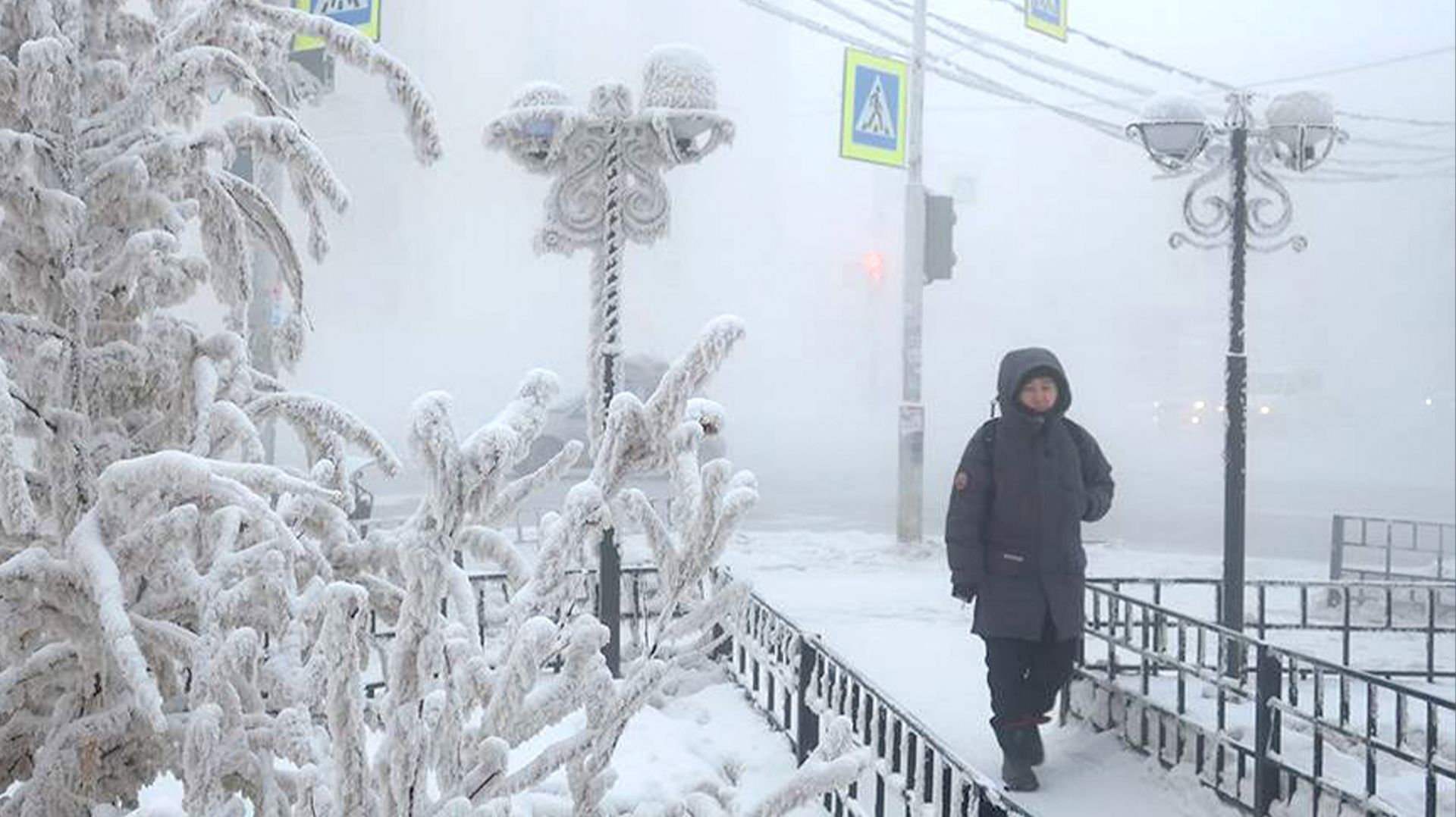 На Москву обрушатся сильные морозы. Коммунальщики увеличили температуру в батареях смотреть онлайн
