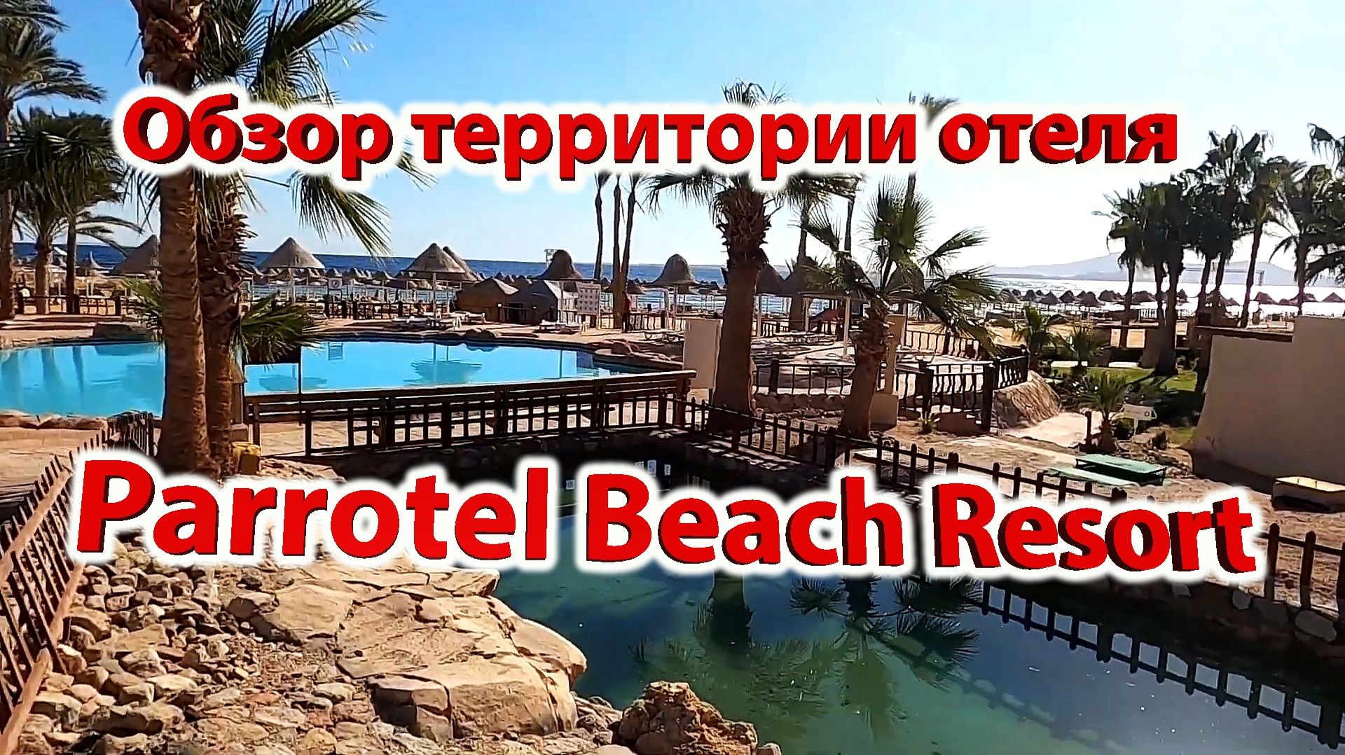 Обзор территории отеля Parrotel Beach Resort I Подробный обзор I Зима, январь ,кормим рыбок у пирса смотреть онлайн