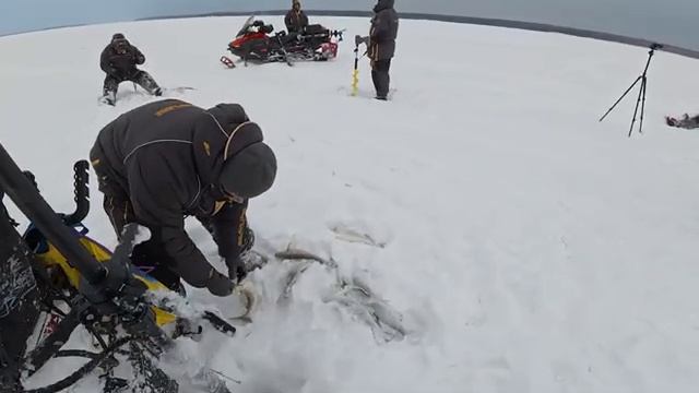 Проверяем гипотезу на ОВХ, рыбачим от -10 до -25🥶 смотреть онлайн