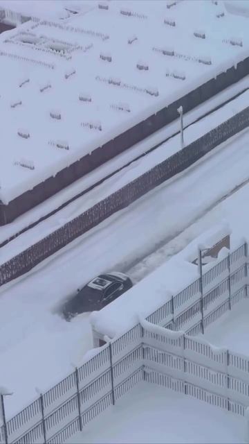 Когда едешь по навигатору смотреть онлайн