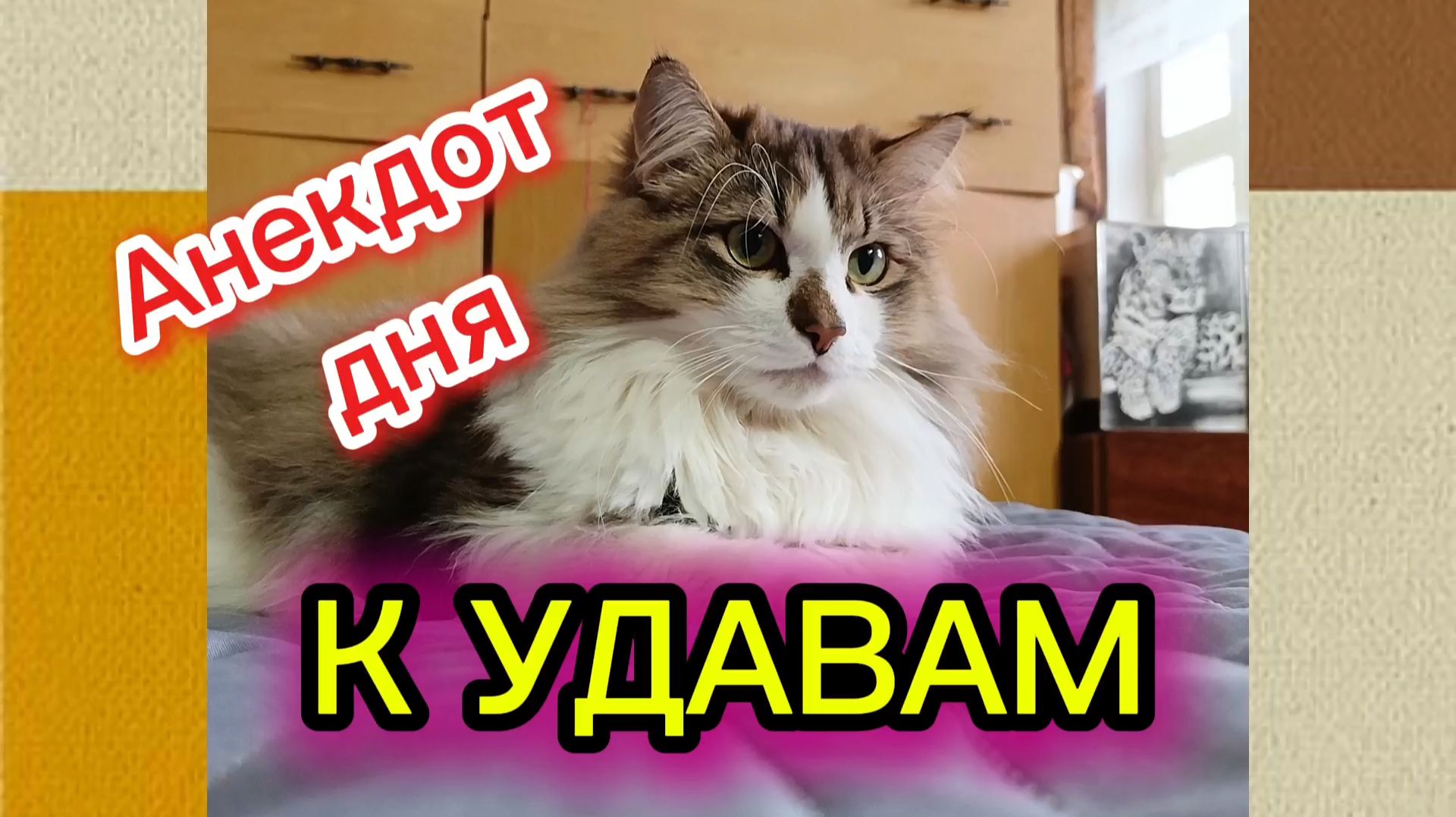 АНЕКДОТ ДНЯ. Кошки с озвучкой. смотреть онлайн