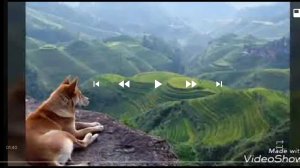 клип - это Джейк для тебя знаю только тебя