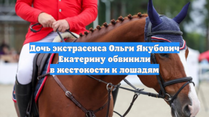 Дочь экстрасенса Ольги Якубович Екатерину обвинили в жестокости к лошадям