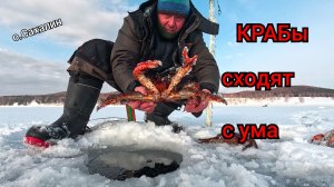 Эти КРАБы сходят с ума  Закрытие КРАБалки 2025г  Опасный лёд  Охотское море
