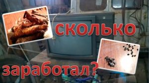СКОЛЬКО ЗАРАБОТАЛ? телевизор Р.У.Б.И.Н.