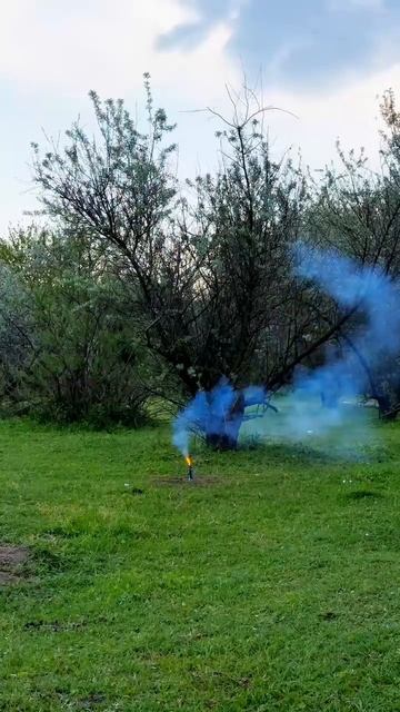 Петарды фитильные ХИЩНИК - PB-012 РПК - 24гр. флеша, в пачке 4шт, цена за 1 петарду смотреть онлайн