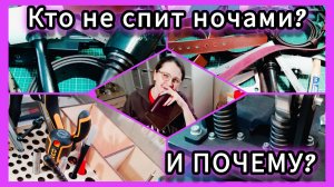 Мастерская или СПАЛЬНЯ?😉 Что делает ночью СОВА!🙍♀️