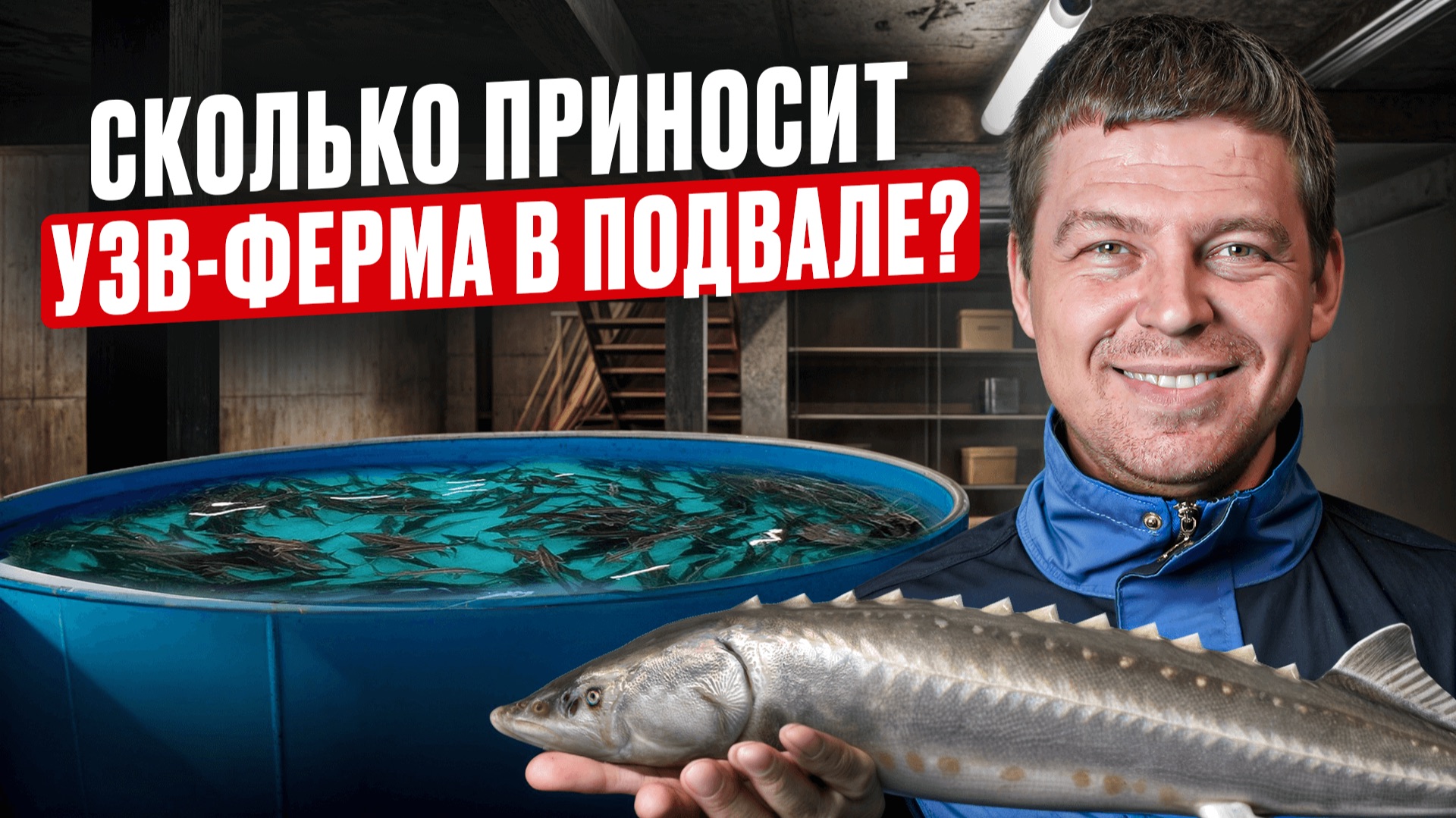 Прибыльный бизнес в подвале с нуля! Сколько ЭТО стоит и как собрать мини-УЗВ для выращивания рыбы? смотреть онлайн