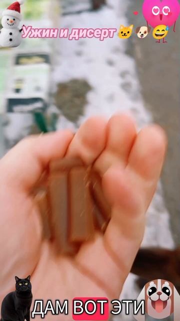 Ужин и десерт🐶🐱😅 смотреть онлайн