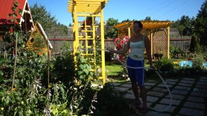 6 соток 6 июля 2021 года. Хроника.