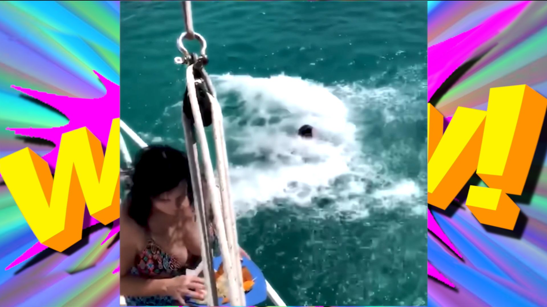 ПРИКОЛЫ НА КАЖДЫЙ ДЕНЬ: СМЕШНЫЕ ВИДЕО ДЛЯ ПОДНЯТИЯ НАСТРОЕНИЯ смотреть онлайн