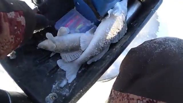 рыбалка НА СУДАКА смотреть онлайн