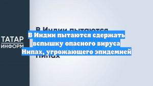 В Индии пытаются сдержать вспышку опасного вируса Нипах, угрожающего эпидемией