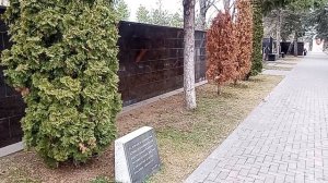 Кисловодские истории! Что-то с памятью у нас стало...! Ложь-это норма жизни! 24.01.2026 г.