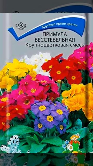 Что посеять в январе? смотреть онлайн