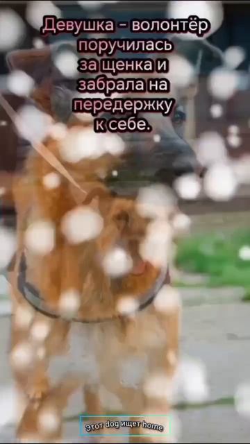 Я буду беречь тебя