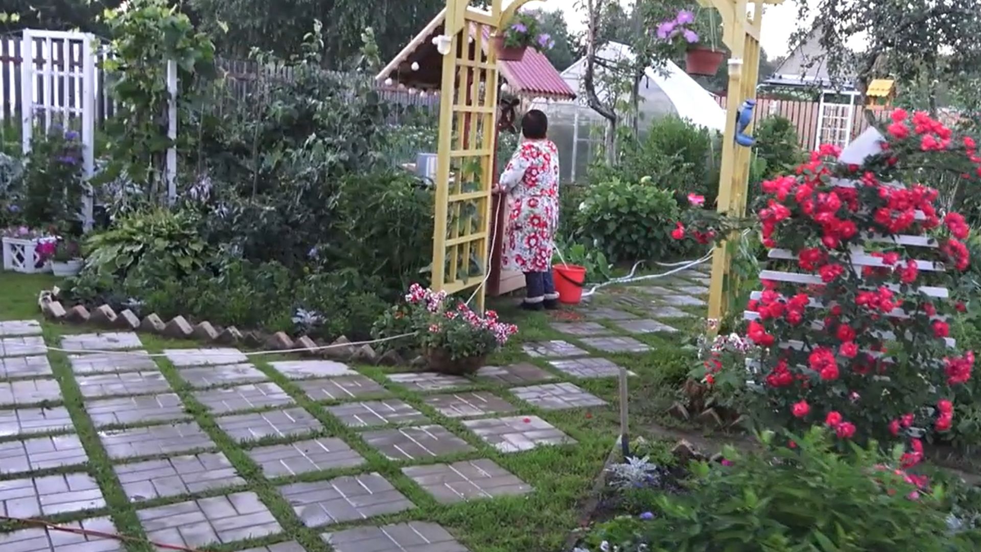 6 соток 5 июля 2021 года. Хроника. Поливаю картошку. Удобряю морковь. Опрыскала грушу.