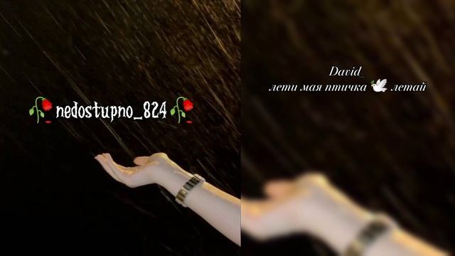 душевная песня _ David/летай 🕊️🖇️ти дума тути смотреть онлайн