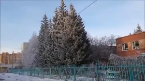 Мой завтрак / Рыбный пирог /  Что связала / Архивное видео 2019 год