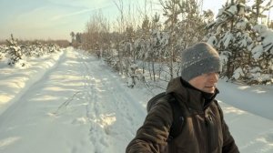 Зимння прогулка