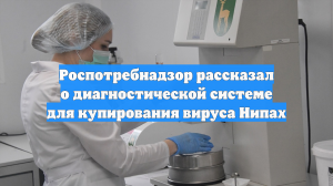Роспотребнадзор рассказал о диагностической системе для купирования вируса Нипах