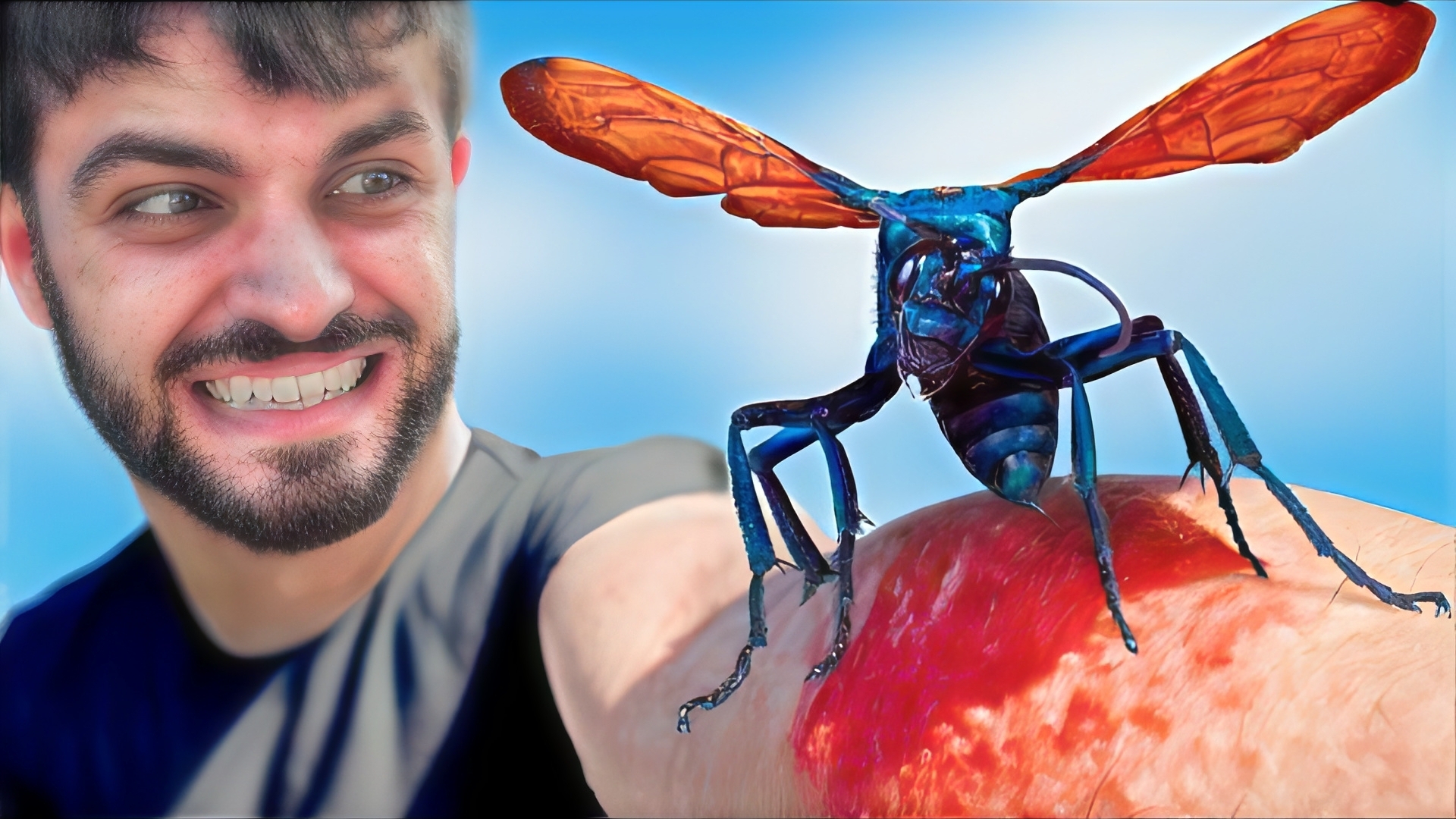 Укушен Осой-охотником за тарантулами. Самые болючие укусы смотреть онлайн