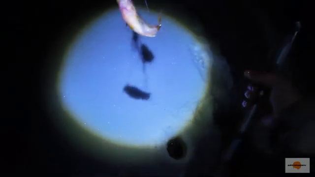 Жерлицы, поставушки. смотреть онлайн