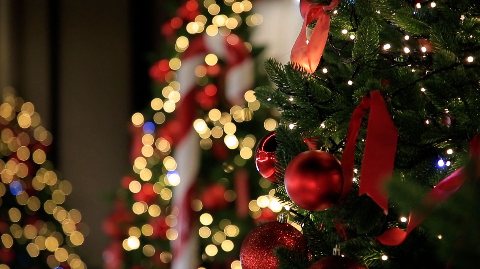 Зима. Казеной-Ам смотреть онлайн