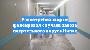 Роспотребнадзор не фиксировал случаев завоза смертельного вируса Нипах