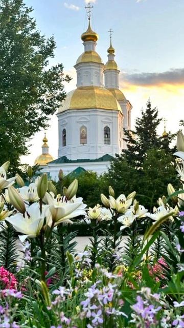 Душевный лекарь#Церковь#shortvideo#shorts#Молитва#Православие смотреть онлайн