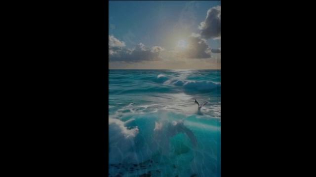 гитара и шум моря. смотреть онлайн