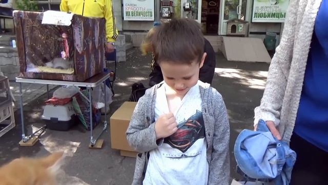 Кошечка Мурка покупаем питомца Максу и Кате ВЛОГ на рынке животных смотреть онлайн