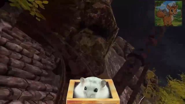 Маленький хомячок учит вас делать морковный шоколад! смотреть онлайн