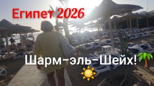 Египет!Операция лежаки!25 января Татьянин день!