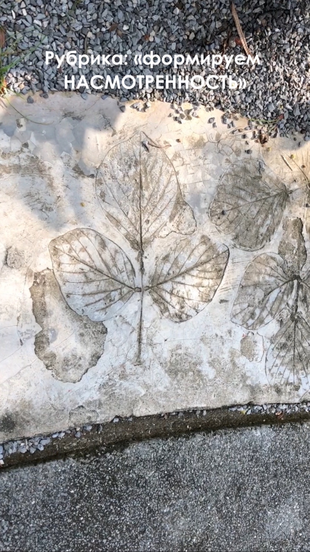 ИНТЕРЕСНОЕ РЕШЕНИЕ ДЛЯ МОЩЕНИЯ смотреть онлайн