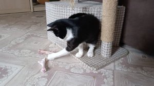 Ну ка отними