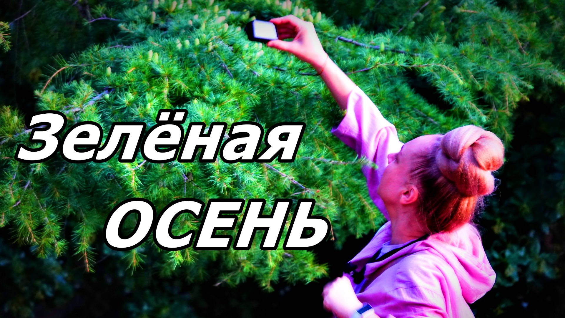 АДЛЕР НОЯБРЬ 2025: РОЗЫ ЦВЕТУТ, 🌴ПАЛЬМЫ МАШУТ, А СОСНЫ ДЕЛАЮТ ВИД, ЧТО СЕЙЧАС ЛЕТО). смотреть онлайн