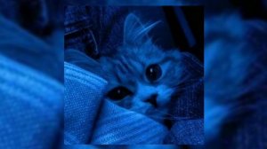 вайбовый плейлист (speed up)