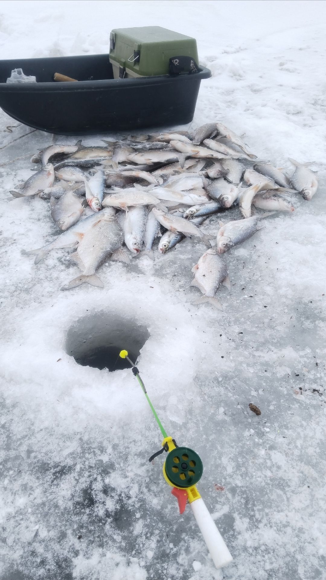 НЕ МАШИ РУКАМИ, ОБУРЯТ! Рыбалка #астраханскийклев смотреть онлайн