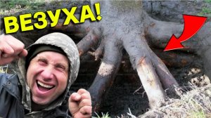 Подняли  НАХОДКИ Наверх КОРЧУЯ старый САДОК, Теперь собираю Находки в Ямах где Были ДЕРЕВЬЯ!