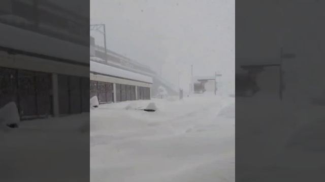 telegram-cloud-document-2-5456590331334134462 смотреть онлайн