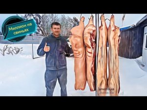 ‼️Двойной забой‼️ Вес туши в 5 месяцев больше 90 кг мясом‼️