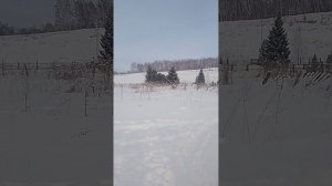 Всем доброго времени суток ☕🍰