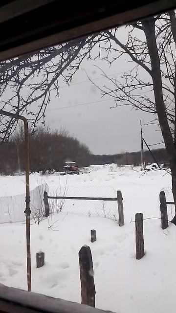 VID_2026-01-12-14-39-36-929.mp4 смотреть онлайн