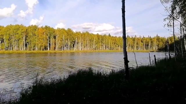 Красота природы в республике Коми смотреть онлайн