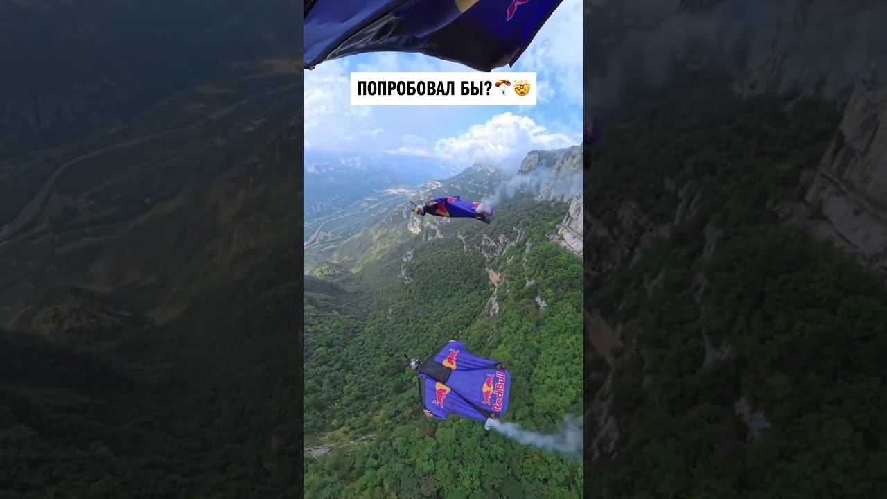 а ты бы ПРЫГНУЛ?! смотреть онлайн