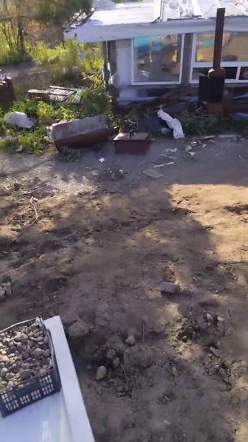 первая пойманная рыба на собственном пруду